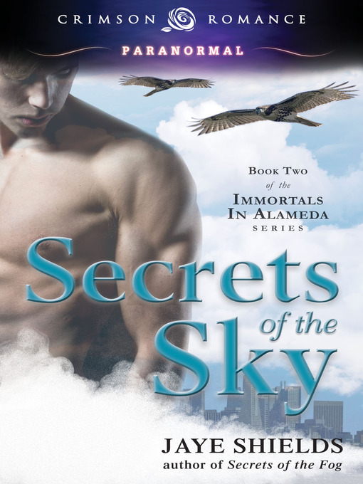 Title details for Secrets of the Sky by Jaye Shields - Available